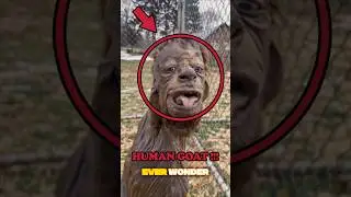 Top 5 Terrifying Animals You Don&rsquo;t Wanna Meet in Person!😱#TerrifyingAnimals#ScaryAnimals#Top5Animals