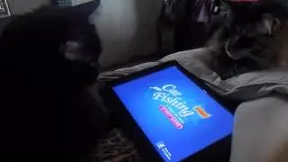 FUNNIEST CATS - PLAYING VIDEO GAMES
