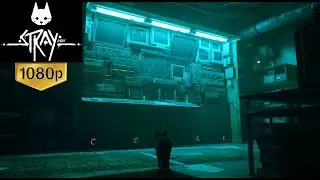 Stray All Puzzles