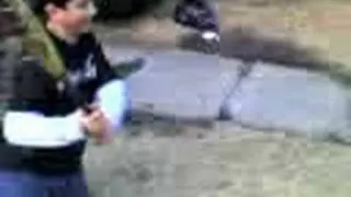 playing wack a mole with a medal bat and someones foot