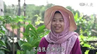 【生活地球村】 屋頂小菜園 開啟有機新生活 20260118