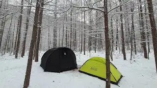 운탄고도 눈세상/백패킹/만항재