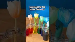 Experiment Blumen f&auml;rben #shorts #kindergarten #experiment #science #kidslearning #forkids #children