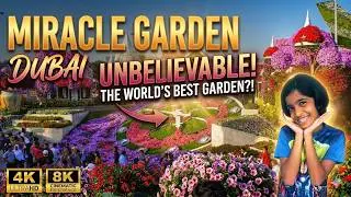 Dubai Miracle Garden Tour 2025 | 150 Million Flowers in One Place