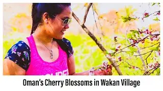 VLOG115/Oman&rsquo;s Cherry Blossoms 2021/Wakan Village/Sultanate of Oman