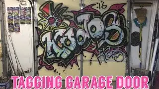 Graffiti - Tagging my garage door - Plants Vs Zombies color way! POV