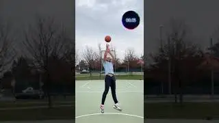 Best BASKETBALL Trick Shots 3 | trickshotdav #short #shorts
