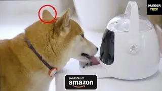 13 Wow Gadgets for Pets Available in Amazon | Dog and Cat| 2019