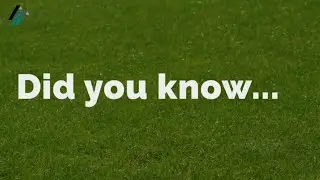 Lawn Care Business Insurance