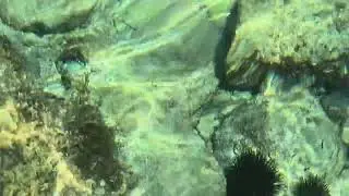 Вода на пляже в Бреле 2