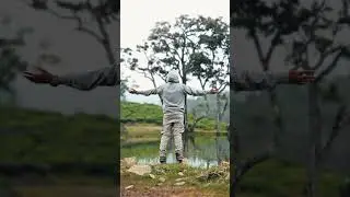 🏞️Charlie movie location 📍Location: Ladrum Estate, #idukki #kuttikkanam #Kerala #charliemovie