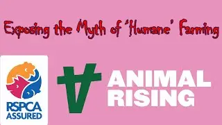 Exposing the Myth of &lsquo;Humane&rsquo; Farming