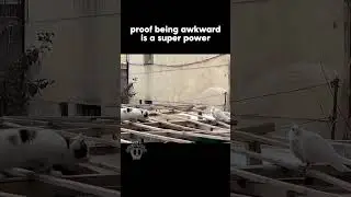 being awkward is a super power