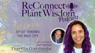 Ep.127 Tending the Wild City with Josh Harrison | ReConnect with Plant Wisdom