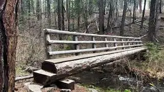 (4K UHD) HIKING HIGHLIGHTS - West Metolius River Trail in Spring - Abbot Creek Rustic Log Bridge!