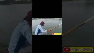 Amazing 🤪Fishing Shorts | Hyderabadi Singh Shikar | Tips & Techniques  | Gajab Fisher?