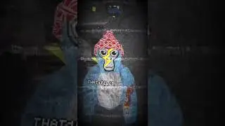 @That1Pilot_vr X @JR98GT  part 1￼ #gorillatagquest #vr
