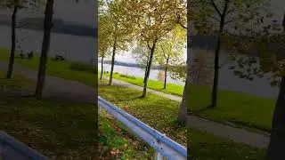#music #nature #relaxingmusic #love #video #прогулка #хорошеенастроение #осень #herbst#youtubeshorts