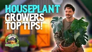 TSOS #26 - Everything Houseplants | Brocc Rogers [literallyjustaplantguy]