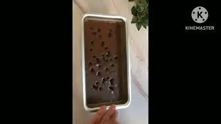 OIL FREE TEA TIME CHOCOLATE CAKE RECIPE | NO BUTTER /NO OIL ,NO EGG WITHOUT OVEN| CHOCOLATE CAKE #