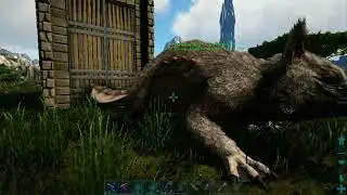 How to cheat on Ark PS4 single-player! Maewing tame and talk