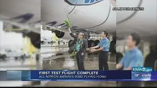 All-Nippon Airways blessing ceremony for 'flying honu