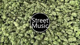 A new album Street Music