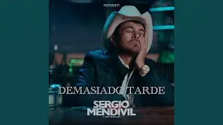 Demasiado Tarde