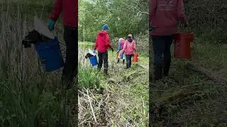 Blind Bay STR & TILT Cleanup
