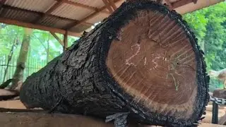 This is a small wood that many people are looking for because it produces beautiful fibers.sawmill