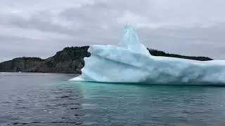 Newfoundland June 2025: Twillingate + Iceberg Alley + Gros Morne