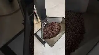 Wintop 30kg Coffee Destoner Operation Video
