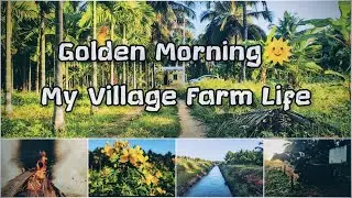 A Beautiful Morning at My Farm | Village Life in India | Mestru Farm