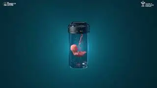 Test-Tube Baby - 3D Animation @uollahorefacultyofalliedhe1051