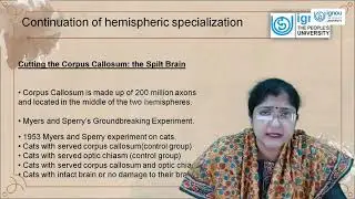 HEMISPHERIC SPECIALIZATION