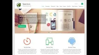Wordpress Spacious Theme setting