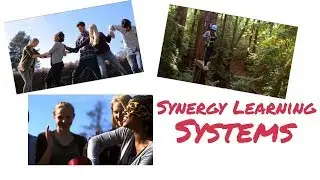 Mel V. Presents: Synergy Learning Systems Brand Video