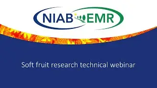 NIAB EMR Soft Fruit Technical Day. Session 1: Advances in Spotted Wing Drosophila Research