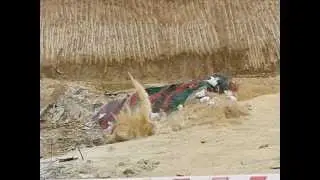 High Speed Video Analysis of Rock Blasting with 240 fps