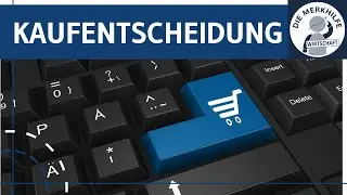 Kaufentscheidung von Konsumenten - Typen & Stufen-, Produktmarktraum-, Idealpunkt & Equity-Theorien