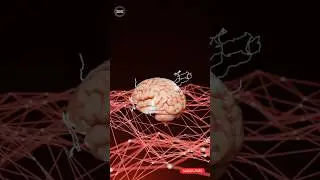 How Your Subconscious Mind Creates Your Reality