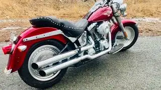 2005 Harley-Davidson FLSTF/FLSTFI Fat Boy