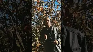 Should I release this?  #rap #dance #pop #dancehall #avantgardemusic