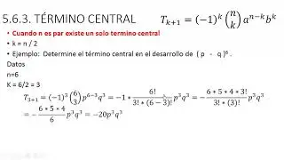 Termino central
