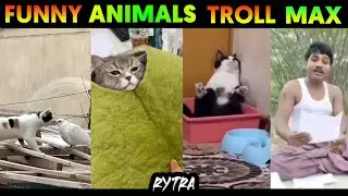 FUNNY ANIMALS TROLL TAMIL | RYTRA | funny animals in tamil | animals funny video tamil |