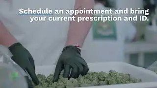 Medical Marijuana Made Easy: Top Doctors in #dallastx