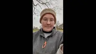 Pre Lambing Sheep Inspection