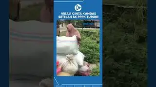 Viral! Cinta Kandas Setelah SK PPPK Turun! Istri di Aceh Singkil Pergi Usai Suami Lulus Pegawai