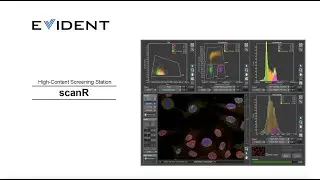 Introducing the scanR High-Content Screening Station