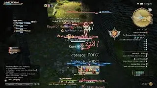 FINAL FANTASY XIV Online Basic Tanking in The Thousand Maws of Totorak